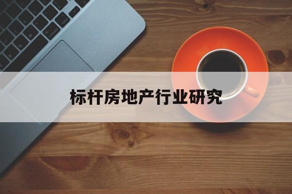 云浮市标杆房地产行业研究(房地产领域的标杆人物)