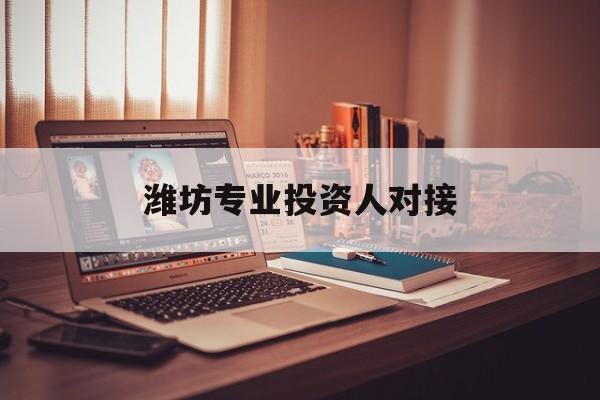 云浮市潍坊专业投资人对接(潍坊专业投资人对接中心)