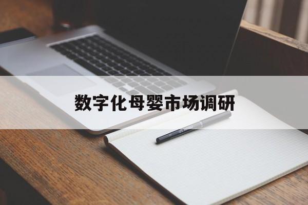 云浮市数字化母婴市场调研(数字化母婴市场调研报告)